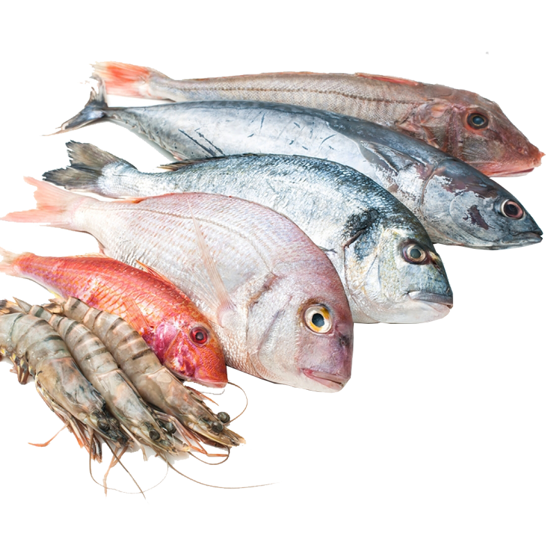 Mixed Fish